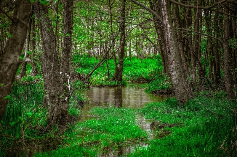 Les solutions végétales : naturelles mais pas sans pièges