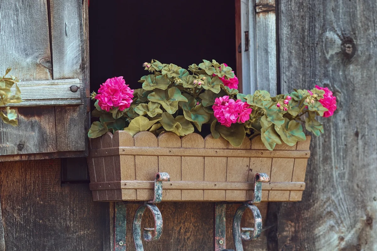 Idées de décoration et personnalisation pour une cabane unique