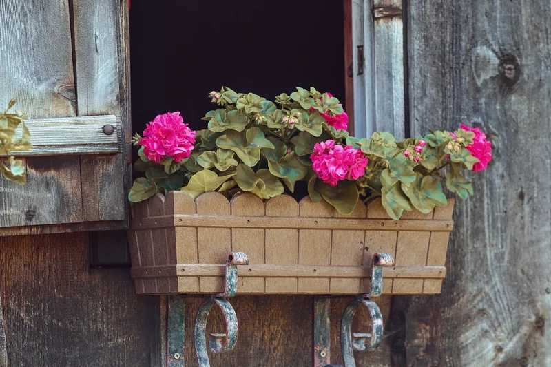 Idées de décoration et personnalisation pour une cabane unique