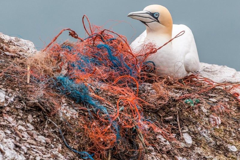 Découvrez l'équerre plastique incontournable de 2026 pour des mesures parfaites
