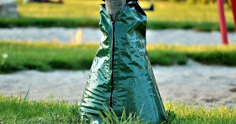 10 techniques innovantes pour jardin qui vont tout changer