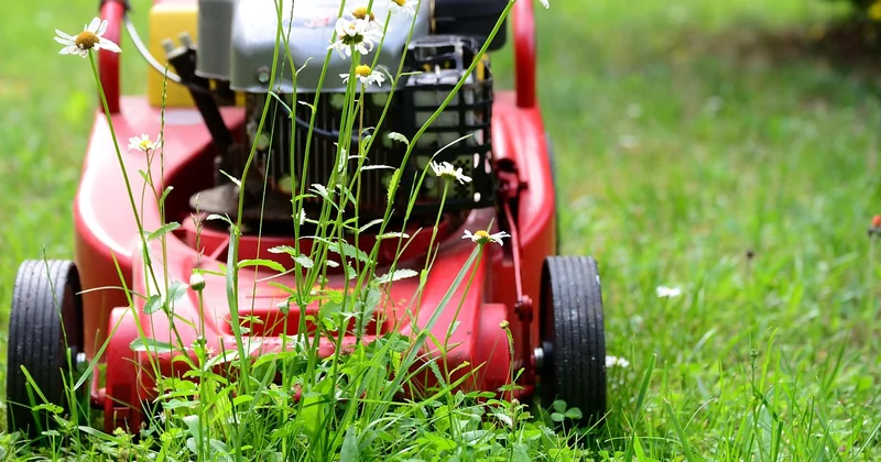 Quand la technologie au jardin sert vraiment (et quand elle vous coûte cher)
