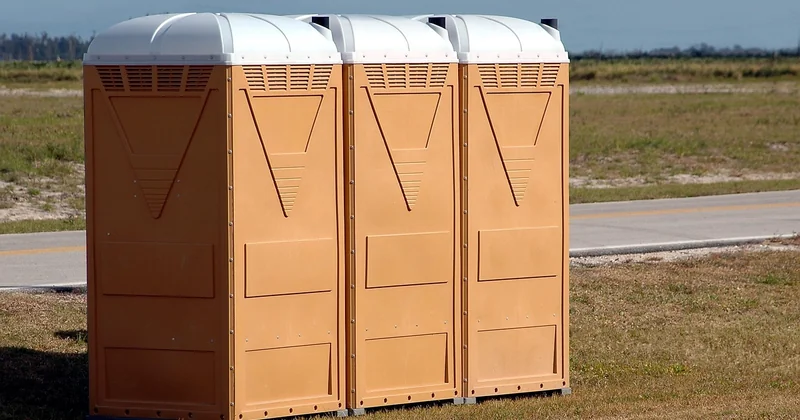Pourquoi avez-vous des vers dans les toilettes ?