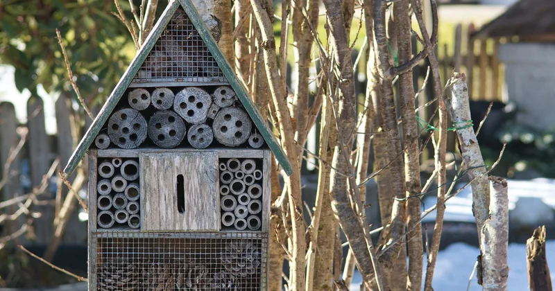 Matériaux naturels : la liste et le comparatif chiffré