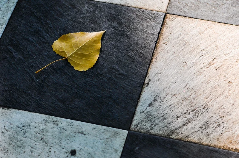 Choix des matériaux : colle, joints et carreaux